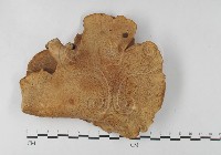 登錄號:F0027477藏品圖，第3張