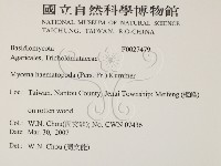 登錄號:F0027479藏品圖，第2張