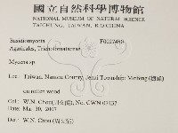 小菇屬藏品圖，第2張