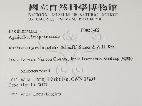 登錄號:F0027482藏品圖，第2張