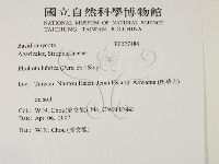 登錄號:F0027484藏品圖，第2張