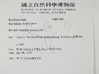 登錄號:F0027485藏品圖，第2張