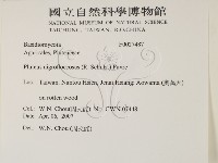 登錄號:F0027487藏品圖，第2張