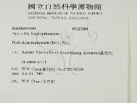 登錄號:F0027488藏品圖，第2張