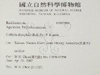 登錄號:F0027489藏品圖，第2張