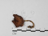 登錄號:F0027489藏品圖，第3張