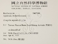 登錄號:F0027491藏品圖，第2張