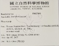 登錄號:F0027493藏品圖，第2張