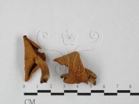 登錄號:F0027494藏品圖，第1張