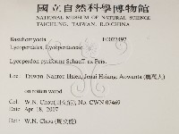 登錄號:F0027497藏品圖，第2張