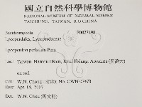 登錄號:F0027498藏品圖，第2張