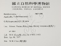 登錄號:F0027499藏品圖，第2張