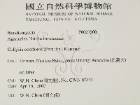 登錄號:F0027500藏品圖，第2張