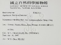 登錄號:F0027501藏品圖，第2張