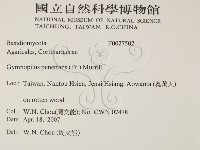 登錄號:F0027502藏品圖，第2張