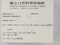 登錄號:F0027505藏品圖，第2張