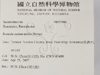 登錄號:F0027506藏品圖，第2張