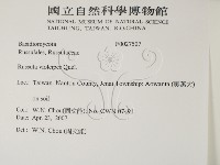 登錄號:F0027507藏品圖，第2張