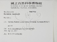 紅菇屬藏品圖，第2張