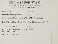 登錄號:F0027511藏品圖，第2張