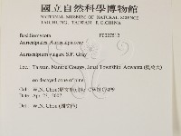 登錄號:F0027512藏品圖，第2張