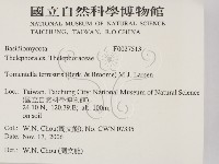 登錄號:F0027513藏品圖，第2張