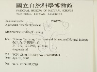 登錄號:F0027514藏品圖，第2張