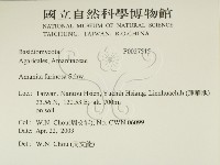登錄號:F0027515藏品圖，第2張