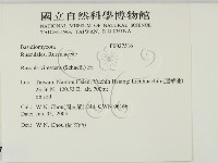 登錄號:F0027516藏品圖，第2張