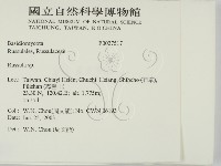 紅菇屬藏品圖，第2張