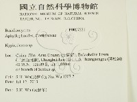絲皮菌屬藏品圖，第2張