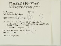 登錄號:F0027522藏品圖，第2張