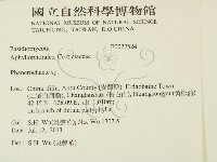 顯絲菌屬藏品圖，第2張