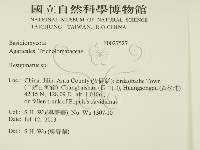 登錄號:F0027527藏品圖，第2張