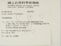 附毛菌屬藏品圖，第2張