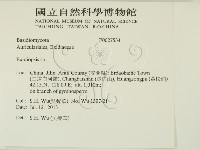 登錄號:F0027534藏品圖，第2張