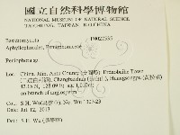 筍殼菌屬藏品圖，第2張