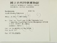 登錄號:F0027536藏品圖，第2張