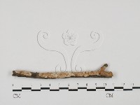 登錄號:F0027536藏品圖，第1張