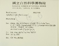 登錄號:F0027538藏品圖，第2張