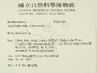 登錄號:F0027539藏品圖，第2張