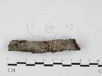 登錄號:F0027539藏品圖，第1張