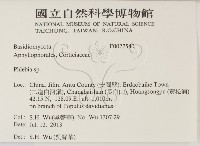 射脈菌屬藏品圖，第2張