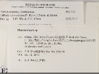 登錄號:F0027542藏品圖，第2張