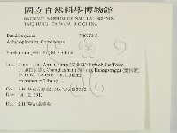 登錄號:F0027543藏品圖，第2張