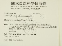 登錄號:F0027544藏品圖，第2張