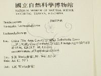登錄號:F0027545藏品圖，第2張