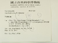 登錄號:F0027549藏品圖，第2張