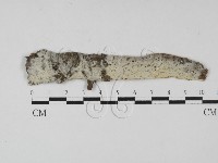 登錄號:F0027551藏品圖，第1張