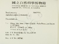 登錄號:F0027554藏品圖，第2張